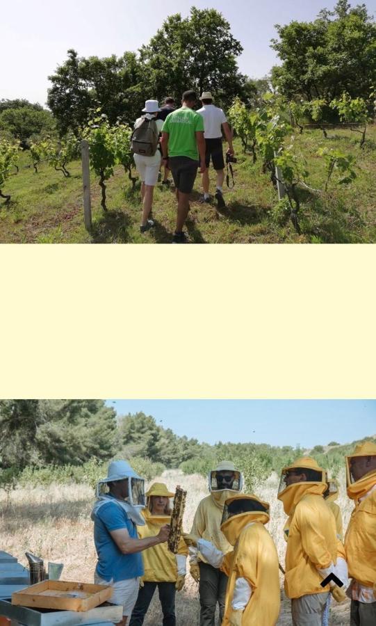 Casa Vacanza Kruptai 2019 Villa Grottole Dış mekan fotoğraf